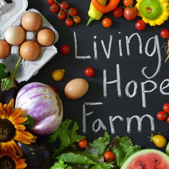 Living Hope Farm - a variety of fruits and vegetables - Farmers Market Near Me - Harleysville, Pennsylvania Living Hope Farm - a variety of fruits and vegetables - Farmers Market Near Me - Harleysville, Pennsylvania