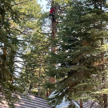Sherwood Tree Service - Tree Services Near Me Sherwood Tree Service - Tree Services Near Me