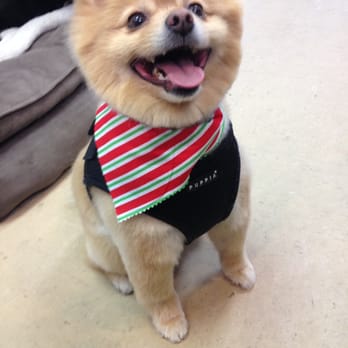 The Grooming Salon - Pet Groomers Near Me - Brielle, New Jersey