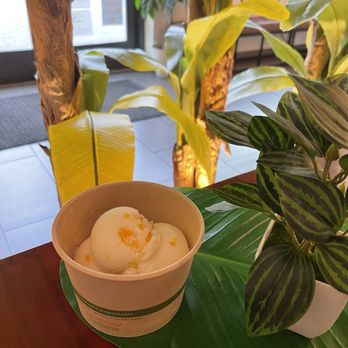 Thai Cottage Bistro - Coconut ice cream with sticky rice - Thai Near Me - Rockville, Maryland