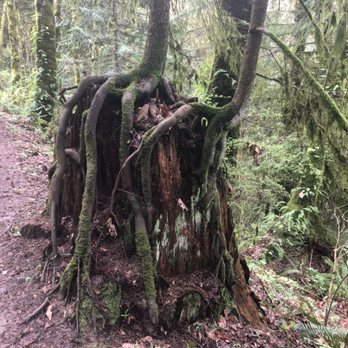 Jennifer Owen Psychic Medium - The beauty Mother Earth brings never ceases to amaze me. - Psychic Mediums Near Me - Portland, Oregon Jennifer Owen Psychic Medium - The beauty Mother Earth brings never ceases to amaze me. - Psychic Mediums Near Me - Portland, Oregon