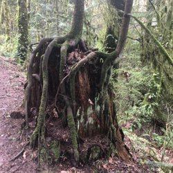 Jennifer Owen Psychic Medium - The beauty Mother Earth brings never ceases to amaze me.