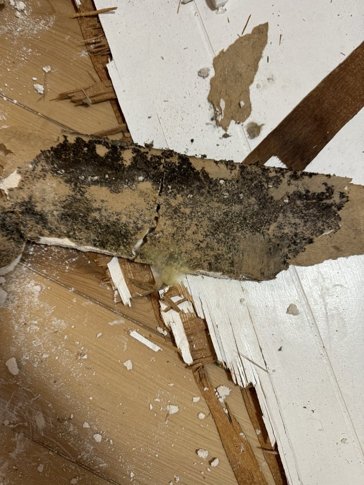 Slide of Advanced Property Restoration