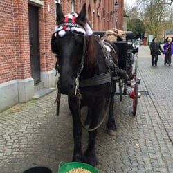Sight-seeing Bruges in a Carriage