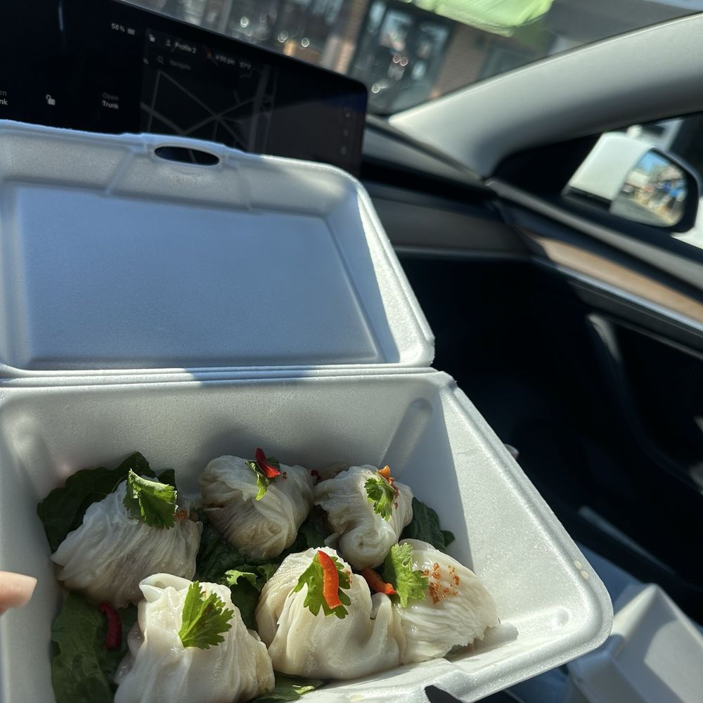 steamed dumplings steamed dumplings