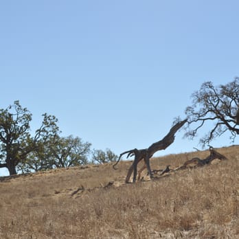 Bishop Ranch Regional Preserve - Hiking Near Me