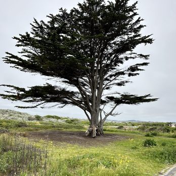 Half Moon Bay Coastal Trail - Hiking Near Me - Half Moon Bay, California Half Moon Bay Coastal Trail - Hiking Near Me - Half Moon Bay, California