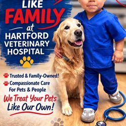 Hartford Veterinary Hospital