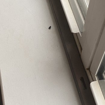 Two Maids - Alexandria - I clean window ledge. - Home Cleaning Near Me - Alexandria, Virginia Two Maids - Alexandria - I clean window ledge. - Home Cleaning Near Me - Alexandria, Virginia
