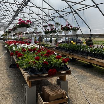 Bridgeview Gardens - Retail greenhouse - Nurseries & Gardening Near Me - Jeffersonville, Ohio Bridgeview Gardens - Retail greenhouse - Nurseries & Gardening Near Me - Jeffersonville, Ohio