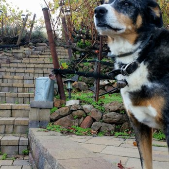 Captain Vineyards - Resident of Captain Vineyard - Wineries Near Me - Moraga, California