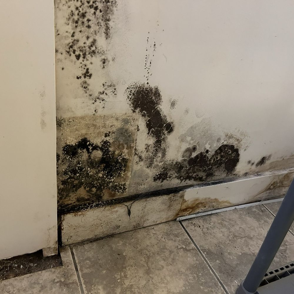 24/7 Restoration - Black mould - Damage Restoration Near Me - Mississauga, Ontario 24/7 Restoration - Black mould - Damage Restoration Near Me - Mississauga, Ontario