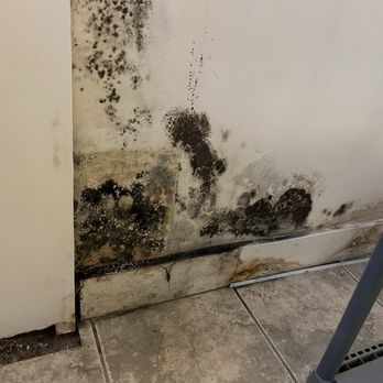 24/7 Restoration - Black mould - Damage Restoration Near Me - Mississauga, Ontario