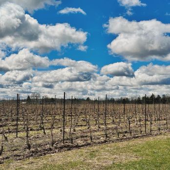 Hermann J. Wiemer Vineyard - Wineries Near Me - Dundee, New York