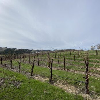 Law Estate Winery - Wineries Near Me - Paso Robles, California Law Estate Winery - Wineries Near Me - Paso Robles, California