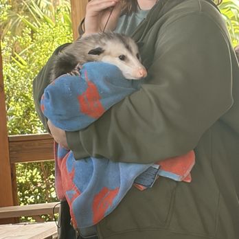 Busch Wildlife Sanctuary - Zoos Near Me - Jupiter, Florida