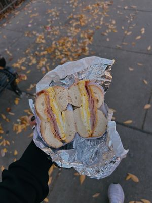 Wonder Bagels by null
