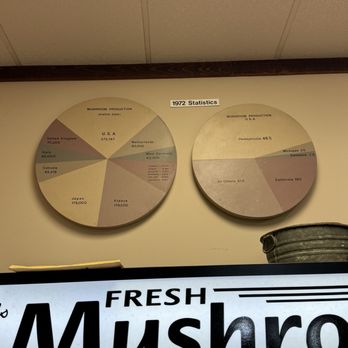 The Mushroom Cap - Facts about mushrooms featured on the back wall! - Specialty Food Near Me - Kennett Square, Pennsylvania The Mushroom Cap - Facts about mushrooms featured on the back wall! - Specialty Food Near Me - Kennett Square, Pennsylvania