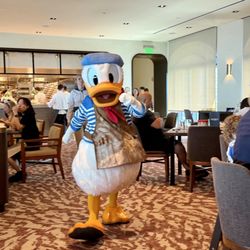 Topolino's Terrace - Flavors of the Riviera - Donald!
