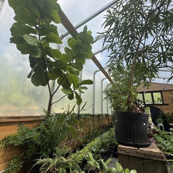 East Pine Plant Shop - Gree house filled with treasures - Nurseries & Gardening Near Me - Windham, Maine