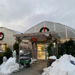Martin's Produce & Greenhouse