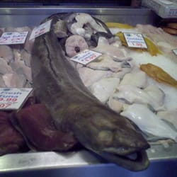 Whale Fish Direct Fisheries - Eel want to see the colour of your money...
