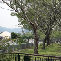 沙田公園