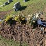 Photo of St James Cemetery