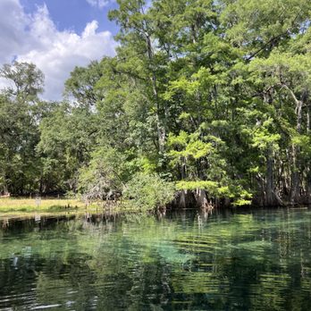 Manatee Springs State Park - Parks Near Me - Chiefland, Florida