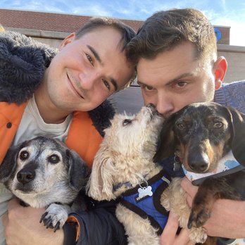 Suburban Pets - Dog Walkers Near Me - Massapequa Park, New York Suburban Pets - Dog Walkers Near Me - Massapequa Park, New York