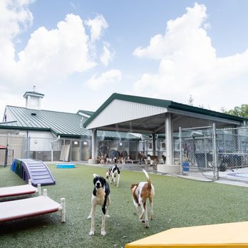 PetSuites Roswell - Pet Groomers Near Me - Roswell, Georgia PetSuites Roswell - Pet Groomers Near Me - Roswell, Georgia