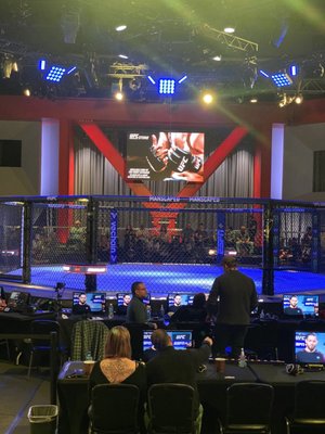 UFC Apex by null