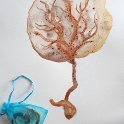 Quetzal Healing - placenta print and dried cord keepsake
