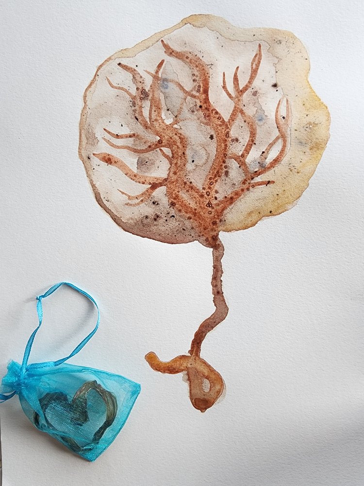 Quetzal Healing Logo