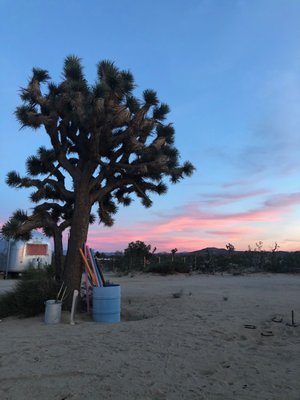 Kate's Lazy Desert by null