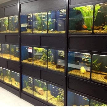 MrPets - Pet Stores Near Me - Mission, British Columbia MrPets - Pet Stores Near Me - Mission, British Columbia