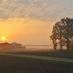 Naturschutzgebiet Venner Moor