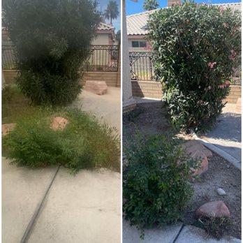 Yocmar Lawn Services - BEFORE and AFTER - Landscaping Near Me Yocmar Lawn Services - BEFORE and AFTER - Landscaping Near Me