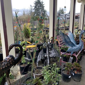 French Prairie Perennials - Home Decor Near Me - Aurora, Oregon French Prairie Perennials - Home Decor Near Me - Aurora, Oregon