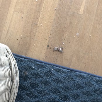 Resort Realty - One area of the disgusting floors - Real Estate Agents Near Me - Corolla, North Carolina