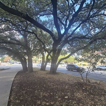Margret Hoffman Oaks Park - Parks Near Me - Austin, Texas Margret Hoffman Oaks Park - Parks Near Me - Austin, Texas