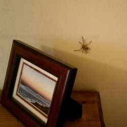 Scorpion Bay Hotel - Almost shat myself