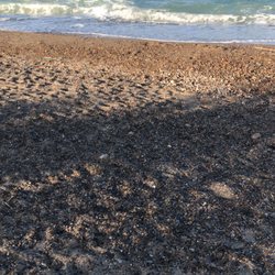 Playa El Saler - Platja de la Creu Strand