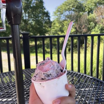 Thee Ice Cream Parlor - a hand holding a cup of ice cream - Ice Cream & Frozen Yogurt Near Me - Flemington, New Jersey Thee Ice Cream Parlor - a hand holding a cup of ice cream - Ice Cream & Frozen Yogurt Near Me - Flemington, New Jersey