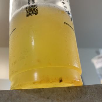 Sharetea - Bubble Tea Near Me - Davis, California