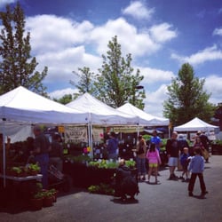Needham Farmers Market - Sunny day at the market.