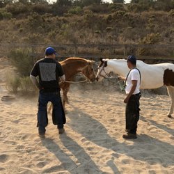 Black Iron Farrier - Robert and Miguel introducing Sky to Dutchess.