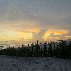 Siesta Palms By the Beach