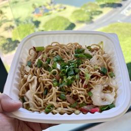 Fried Noodle Platter