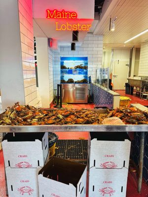 Captain White Seafood City by null